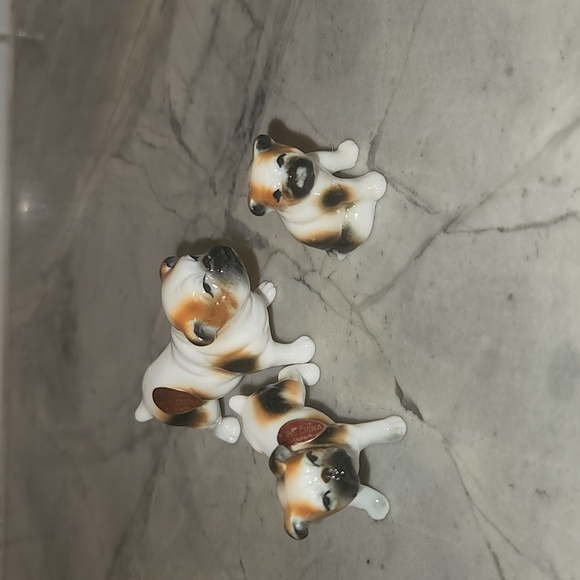 Three miniture bulldogs - Picture 1 of 5